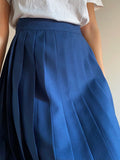 Gonna a pieghe bluette